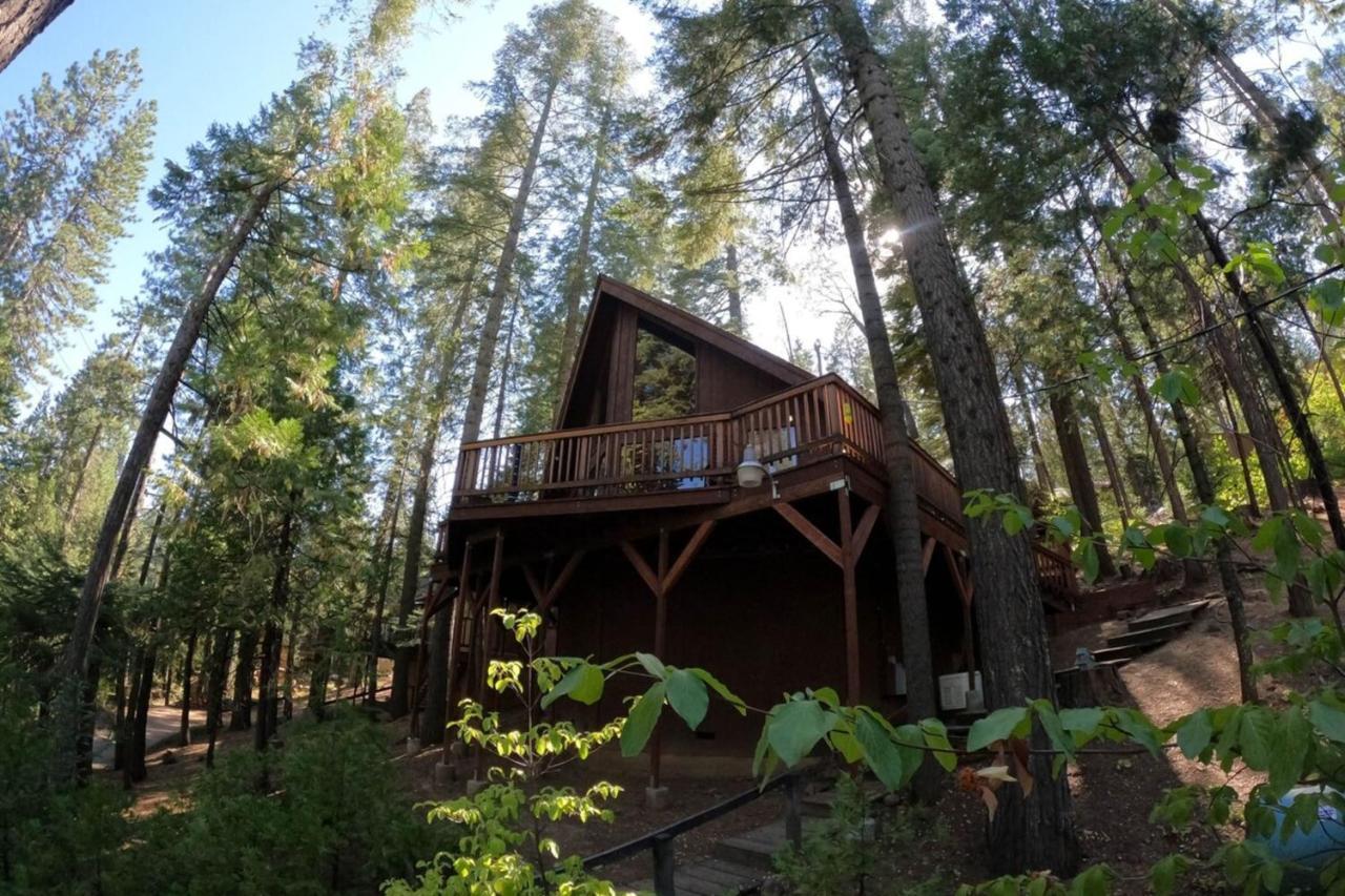 Beautiful Cabingated Parkpinecrest & Dodge Ridge Villa Long Barn Buitenkant foto